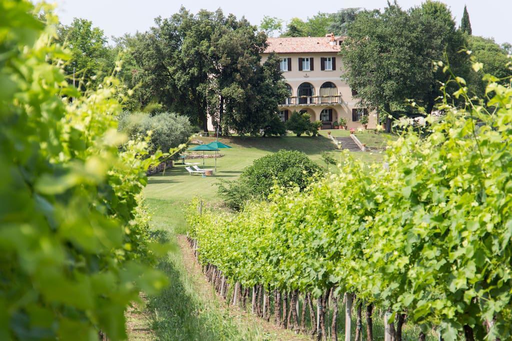 Villa Marani Rovolon Exterior foto